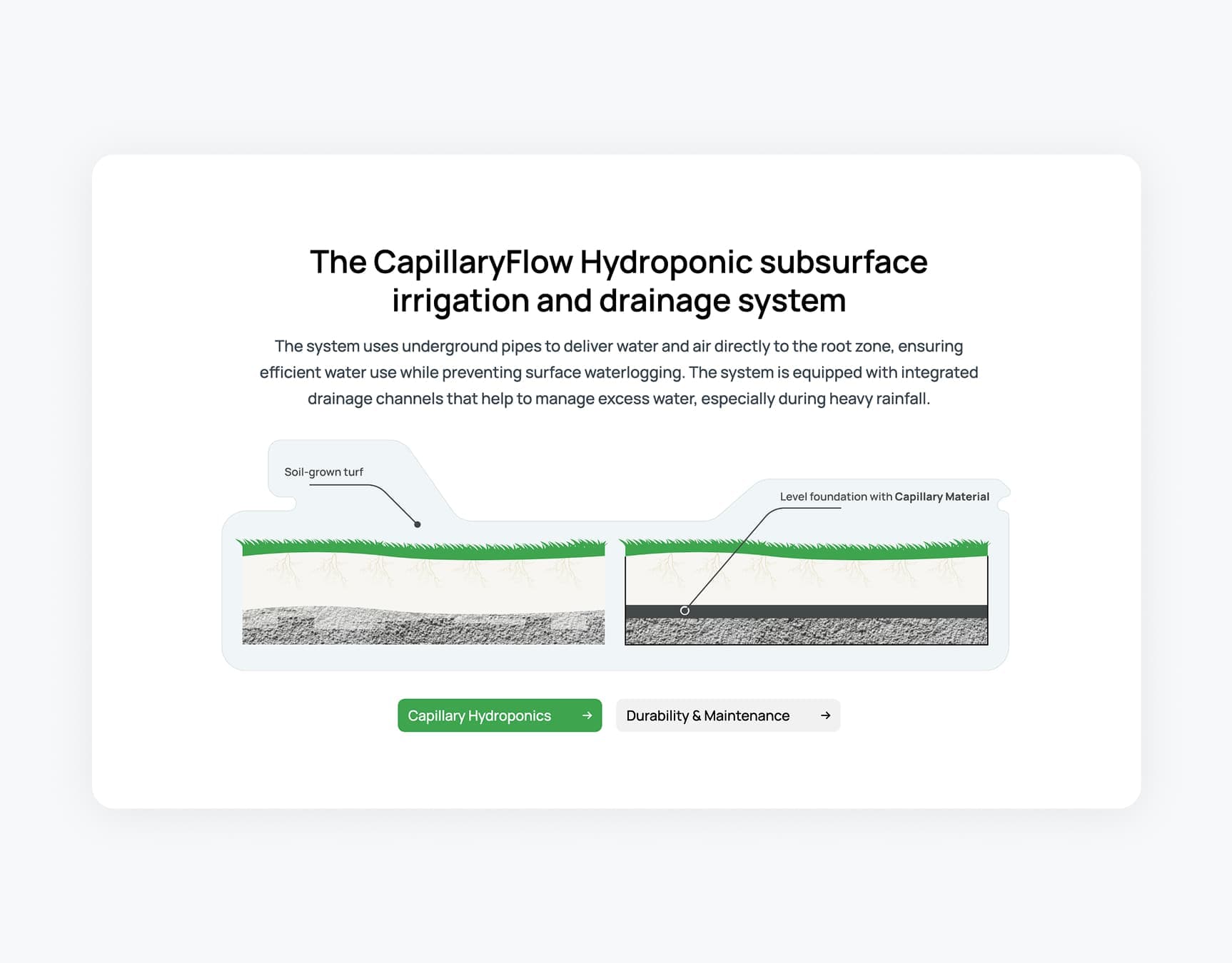 CapillaryFlow screen 5